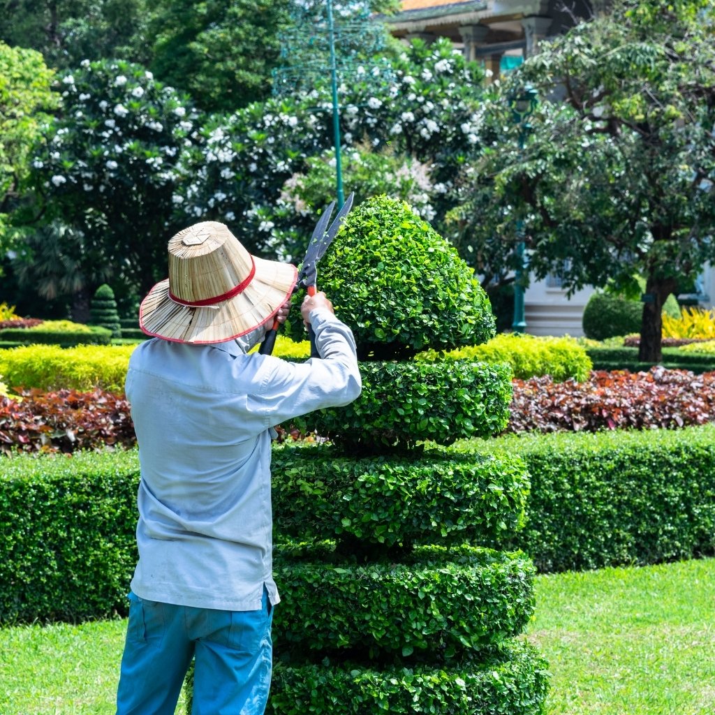 Professional tree trimming and yard service by Elite Hardscape Inc. in Southern California