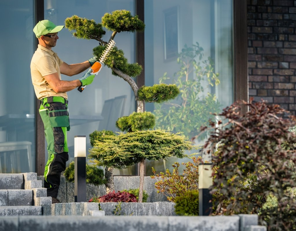 Professional yard cleanup and tree care by Elite Hardscape Inc.